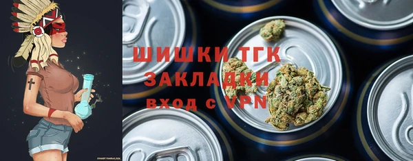 тгк Арсеньев