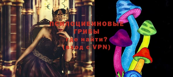 тгк Арсеньев