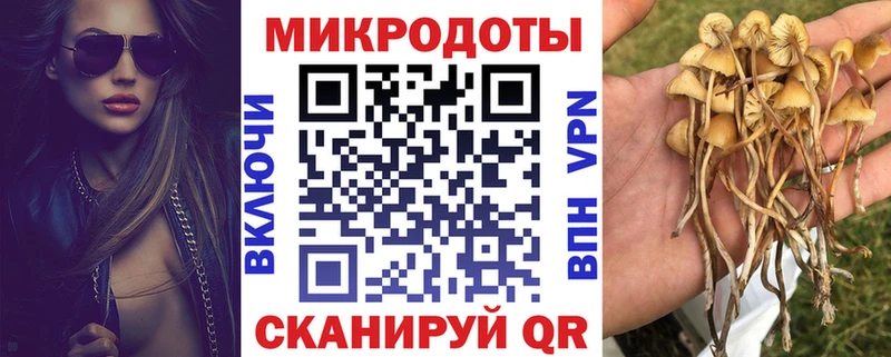 Купить  Приморско-Ахтарск  Галлюциногенные грибы мицелий 