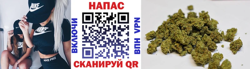 Купить закладки  Приморско-Ахтарск  Марихуана конопля 